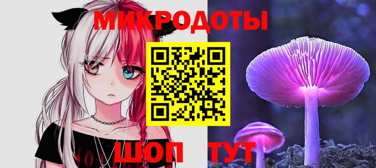 Галлюциногенные грибы Psilocybine cubensis Кимовск