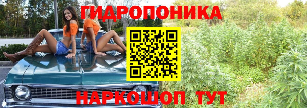Шишки марихуана сатива  Вход с VPN  Шишки марихуана MAZAR  Каннабис конопля  Кимовск 